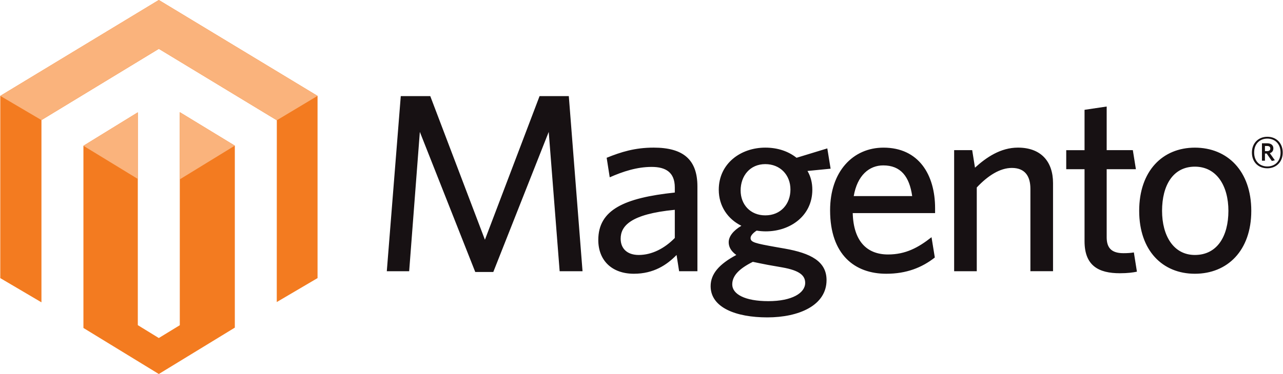 magento Partner